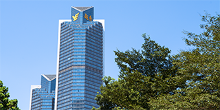 Guangzhou, China | Zeus